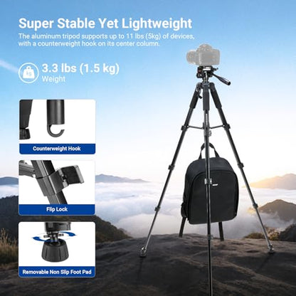 NEEWER Basics Camera Tripod, 74" Tripod with Cell Phone Holder Mount Compatible with iPhone for Video Recording, Professional Aluminum Lightweight Portable Travel Stand with 3 Way Pan Tilt Head, TP56 - style: TP56