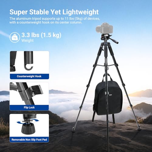 NEEWER Basics Camera Tripod, 74" Tripod with Cell Phone Holder Mount Compatible with iPhone for Video Recording, Professional Aluminum Lightweight Portable Travel Stand with 3 Way Pan Tilt Head, TP56 - style: TP56
