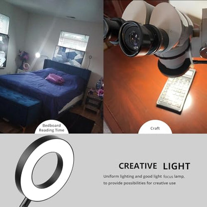 Woputne Desk Clip on Lamp for Reading Home Office, with 5V 2A Adapter, 10 Dimmable Brightness 3 Modes, Clamp Reading Light for Bed Headboard, Craft (Black)… - size: Black-1 Piece-Standard-With Adapter