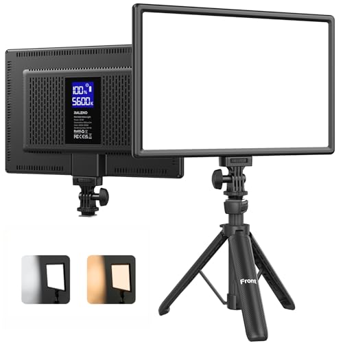 RALENO 19.5W LED Video Soft Light Panel, 650Lux/m 13" Camera Panel Light Built-in 8000mAh Battery, CRI>95 2500-6500K Photography Studio Lights for TikTok YouTube Video Recording Photography Streaming - color: Black