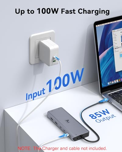 USB C Docking Station Dual Monitor for Laptop, LIONWEI 14-in-1 USB-C Hub with Triple Display, 2 HDMI + VGA, Ethernet, 6 USB A/C 3.0/2.0, PD, SD/TF, Audio, USBC Dock for Surface/HP/Dell/Lenovo/MacBook - color: 2 HDMI+VGA+ethernet