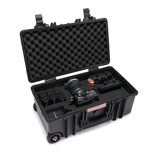 Amazon Basics Hard Protective Camera Case with Wheels, Large, Black, 22"L x 14"W x 9.8"H - size: Large