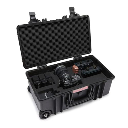Amazon Basics Hard Protective Camera Case with Wheels, Large, Black, 22"L x 14"W x 9.8"H - size: Large