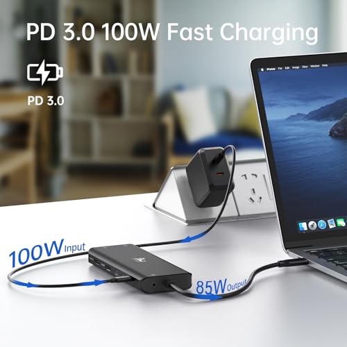 LIONWEI Laptop Docking Station 13 in 1 - Dual HDMI+DisplayPort+10Gbps, 6 USB C/A, 100W PD, Ethernet, SD/TF, Audio, USB C Hub for MacBook/Dell/HP/Surface, Black - color: Black-13 IN 1(2 HDMI+DP)