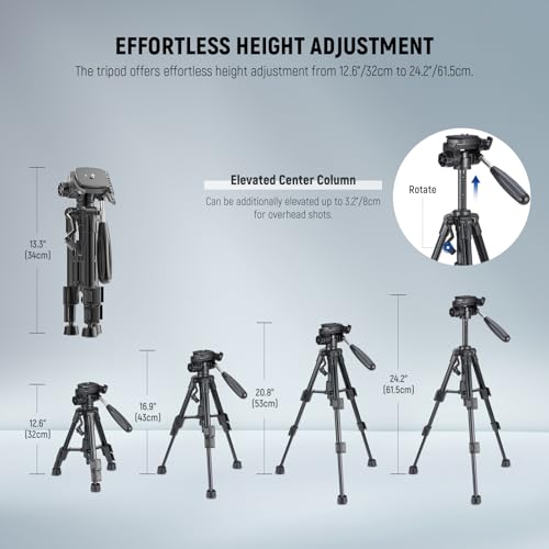 NEEWER Basic Mini Desk Tripod for iPhone & Camera with 3 Way Pan Tilt Head, Handle & Remote, Metal Portable Table Top Video Phone Tripod with 1/4" Plate for DSLR Camera Camcorder, Max Load 13lb, TP02 - style: TP02 w/Phone Holder