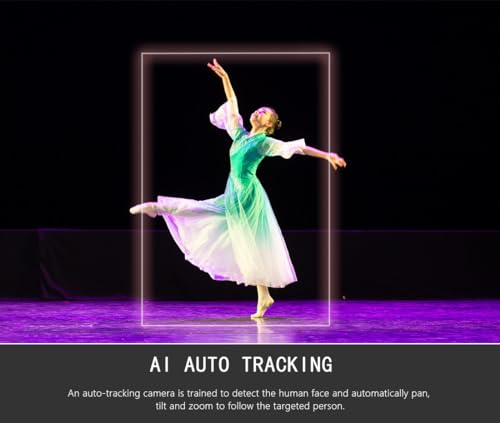 AI Auto Tracking PTZ Camera, 20X Zoom Live Streaming HDMI SDI PTZ Camera for Church Worship and Live Event, LV20, Not NDI - color: Light Black
