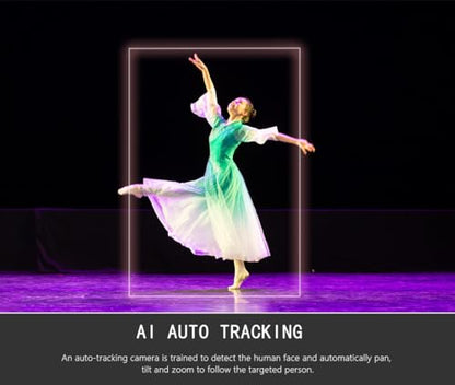 AI Auto Tracking PTZ Camera, 20X Zoom Live Streaming HDMI SDI PTZ Camera for Church Worship and Live Event, LV20, Not NDI - color: Light Black
