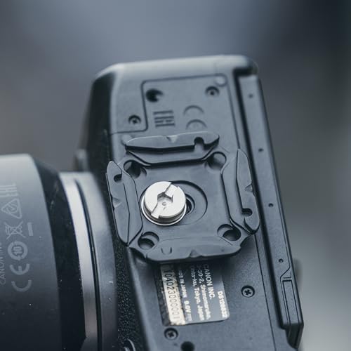 FALCAM F38 Quick Release Kit V2, Quick Release System, Base and Plate with 1/4" and 3/8" Screw Thread for Tripod, Monopod, Stabilizer, Slider - F38B3404 - size: F38 QR Kit V2