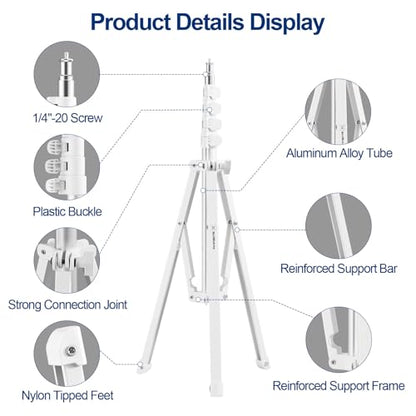 WELLMAKING 32''(80cm) Photography Reflector Dual Handle Collapsible 5-in-1 with Tilt Adapter Reflector, White Portable Stand and Pouch for Studio & Outdoor Lighting-Translucent,Silver,Gold,White&Black