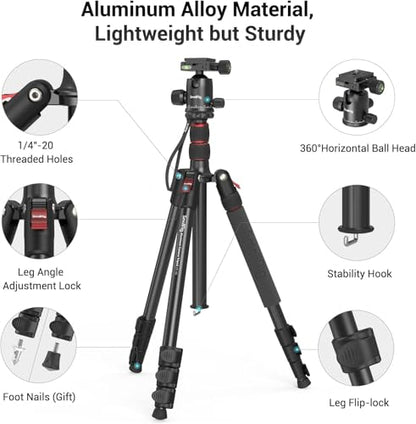 SmallRig CT-20 Camera Tripod, 78.7" Foldable Aluminum Tripod & Monopod, 360°Ball Head Detachable, Payload 33lb (200cm/78.7") - style: 78.7"