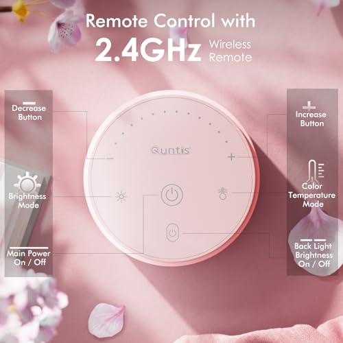 Quntis Pink Monitor Light Bar with Remote, Eye-Care No Glare, Space Saving Computer Desk Lamp As Gifts for Girls, Stepless Dimming, Modern Aesthetic Desk Light Bar for Home Office Gaming Reading - color: Pink