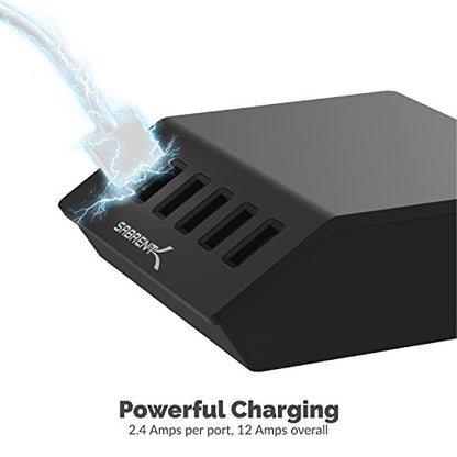 SABRENT Premium 60 Watt (12 Amp) 6 Port Aluminum Family Sized Desktop USB Rapid Charger.[UL Certified ] Smart USB Charger with Auto Detect Technology [Black] (AX-FLCH-B) - size: 6-Port