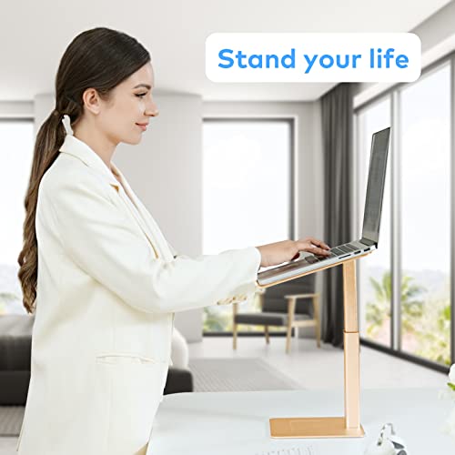 Laptop Stand for Desk, Ergonomic Aluminum Laptop Stand Adjustable Height from 7-15", Sitting and Standing Laptop Riser for 10-17" Notebook - color: Gold