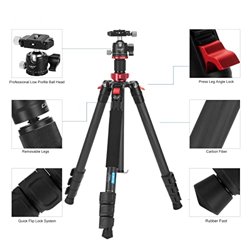 CAVIX 62" Professional Carbon Fiber Camera Tripod, Tripod & Monopod 2 in 1, Lightweight Travel Tripod with 360° Ball Head and Arca-Swiss QR Plate, 22lbs/10kg Load for DSLR Video Travel Photography - size: Carbon Fiber(62")