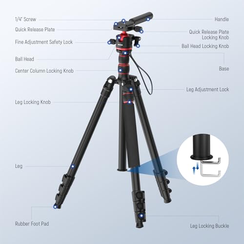 NEEWER Basics Camera Tripod Monopod, 77" Compact Lightweight Travel DSLR Video Stand, 360° Ball Head, Arca Type QR Plate, Reversible Legs & Inverted Central Axis, 13lb Max Load, TP08 - style: TP08