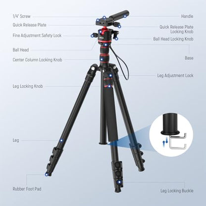 NEEWER Basics Camera Tripod Monopod, 77" Compact Lightweight Travel DSLR Video Stand, 360° Ball Head, Arca Type QR Plate, Reversible Legs & Inverted Central Axis, 13lb Max Load, TP08 - style: TP08