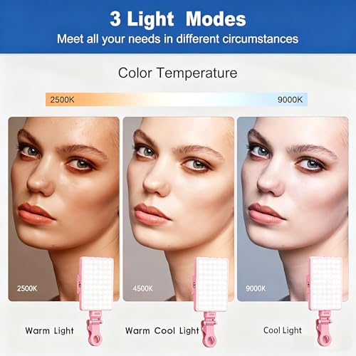 Selfie Light, Phone Light with Front & Back Clip, 60 LED Portable Light with 3 Modes, 5000mAh Rechargeable Video Light for Phone, iPhone, IPad, Laptop, TikTok, Makeup, Lighting Monolights(Pink) - color: Pink