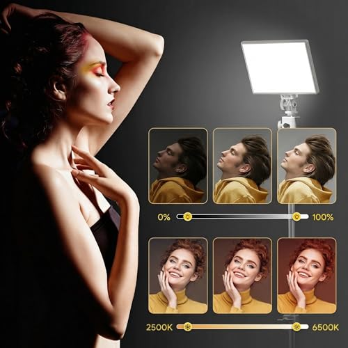 RALENO Led Video Light, Built-in 8000mAh Battery 2500-6500K CRI95+ 0-100% Brightness Adjustment on Camera Light, for Vlog Lighting Video Conference YouTube Studio Photography - color: White