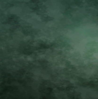 Kate 10×10ft Green Backdrop Abstract Muslin Dark Green Background Gradient Portrait Backdrop for Photographer Headshot Microfiber Photo Studio Props - size: 10×10ft