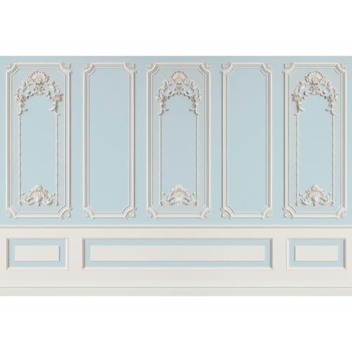 Leyiyi 6x4ft Blue White Vintage Room Inside Backdrop European Frame Modern House French Castle Cementery Wall Retro Style Photo Background Cowboy Kids Birthday Portrait Studio Props Vinyl Wallpaper - color: Blue White, size: 6x4ft