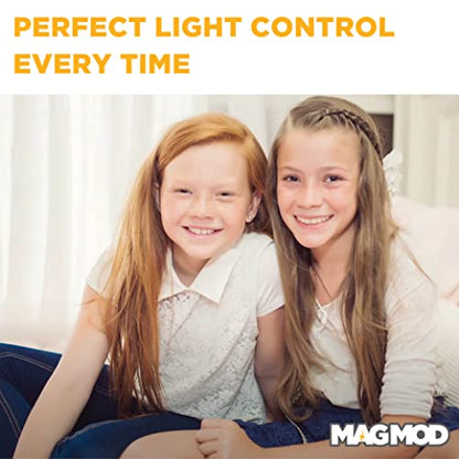 MagMod Professional Flash Kit 2, Photography Lighting Flash Diffuser Set | Magnetic Light Diffuser Attachments, Lightweight MagMod Modifiers, Superior Light Control, Built for Working Photographers
