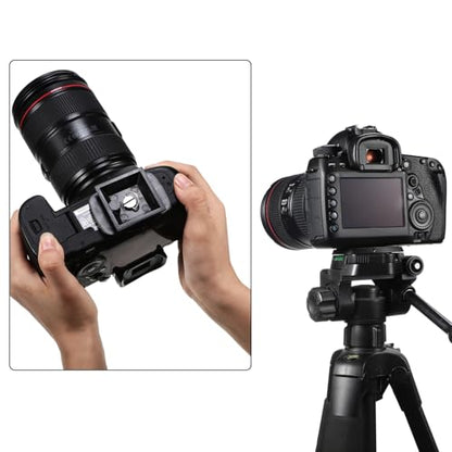 Weewooday 2 Pieces 35 mm Tripod Quick Release Plate Tripod Adapter Mount Camera Adapter Plate Parts for Cameras Mount Qb-4w CX-444 CX-888 CX-460 CX-470 CX-570 CX-690 DF-50 VCT-D580RM VCT-D680RM
