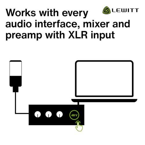 LEWITT LCT440PURE Large Diaphragm Condenser Mic