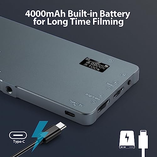 ENEGON 4000mAh Rechargeable Mountable Bicolor LED Video Light with Mini Panel for Professional DSLR Cameras | Photo Video Lighting Long Battery Life | Fits for iPhone Sony Canon Nikon Fuji Panasonic - color: Camera LED Light
