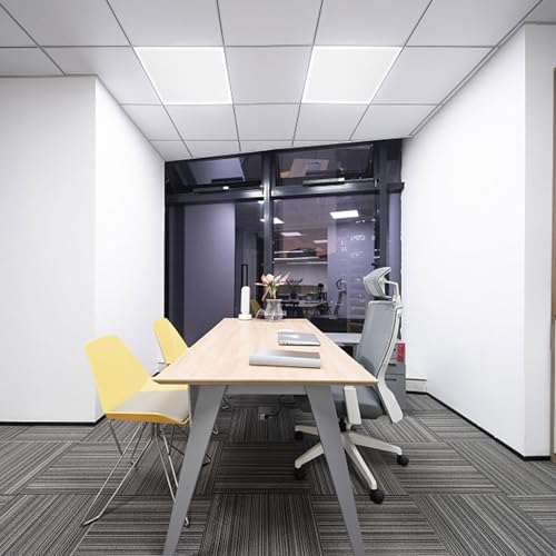 Pushglossy 4 Pack 23.75" X 47.75" X 0.2" Fluorescent Light Covers Classroom Office Diffuser Panels for 2x4ft Drop Ceiling Light Fixture Polycarbonate Replacement Cover for Hospital Home (Clear) - color: Clear