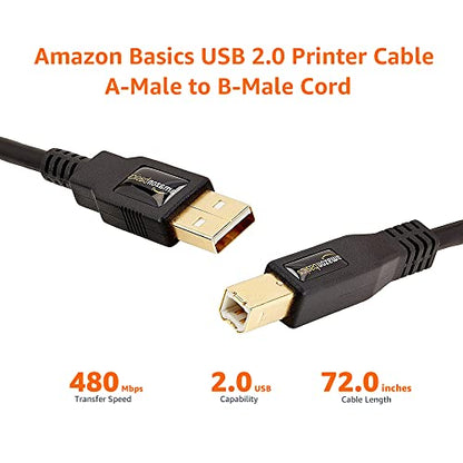 Amazon Basics USB 2.0 Cable, USB-A to USB-B, for Printer or External Hard Drive, Connect to Computer/Laptop/PC, 480 Mbps Transfer Speed, Gold-Plated Connectors, 6 Foot, Black - size: 6 Feet