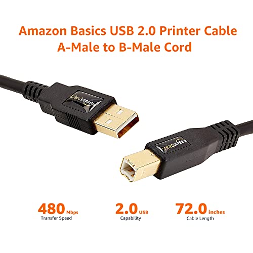Amazon Basics USB 2.0 Cable, USB-A to USB-B, for Printer or External Hard Drive, Connect to Computer/Laptop/PC, 480 Mbps Transfer Speed, Gold-Plated Connectors, 6 Foot, Black - size: 6 Feet