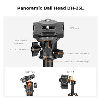 K&F CONCEPT Mini Desktop Tripod, 20.5''/ 52cm Compact Desk Tripod with 360 Degree Ball Head, 1/4 inch Quick Release Plate for Camera Video Camcorder, Load up to 13.22 lbs/6 KG - style: S225A1+BH-25
