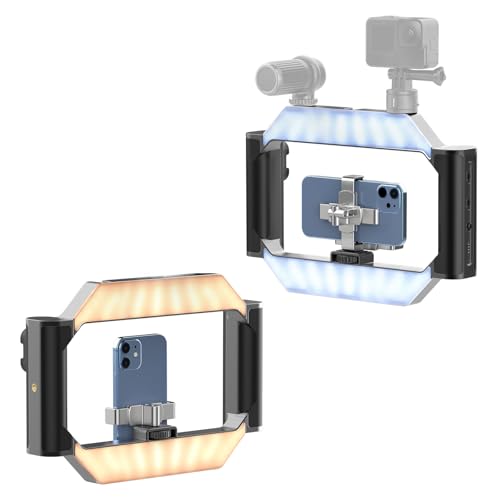 ULANZI Smartphone Video Rig with Light, U-Rig Light Cell Phone Handheld Stabilizer with Ring Light 2500K-9000K CRI 90+ for Filmmaking Live Steam YouTube Video Recording, with 5000mAh Build-in Battery - size: 280*51*195mm
