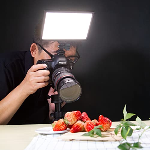 VILTROX L116T CRI95+ Super Slim Dimmable LED Light Panel,Bi-Color 3300K-5600K LED Video Light with LCD Control/Light Mount (NO Battery/No ac Adapter)
