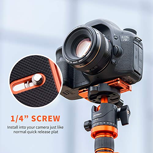 K&F CONCEPT Aluminum Alloy Quick Release Plate with 1/4 Inch Screw for Camera, Cage, Cellphone etc (Orange) - color: Mobile Phone Clip + Quick Release Plate
