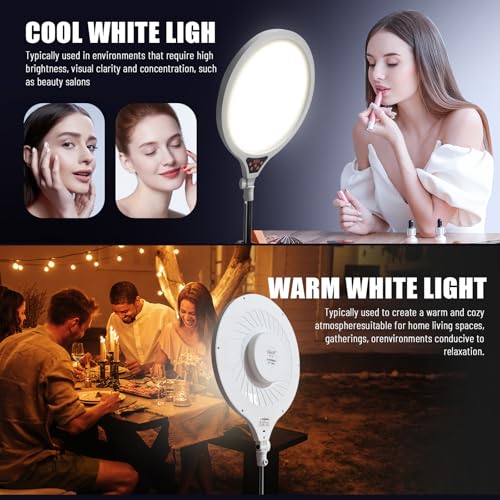 Ring Light with Stand, 14" Professional Ring Light Tripod for iPhone, Adjustable Height for Video Recording Photography Live Streaming Content Creation TikTok YouTube, White - size: 14inch White