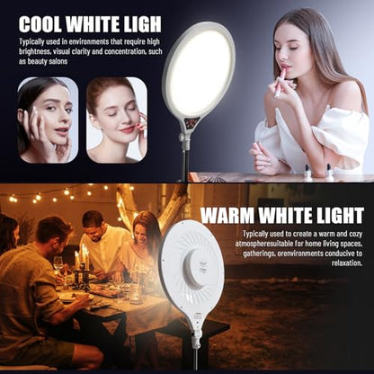 Ring Light with Stand, 14" Professional Ring Light Tripod for iPhone, Adjustable Height for Video Recording Photography Live Streaming Content Creation TikTok YouTube, White - size: 14inch White