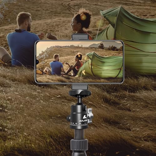 Ailight Mini Ball Head, 360° Panoramic Tripod Head, Universal 1/4" to 3/8" Screw Adapter Swivel Mini Ball Head Screw Tripod Mount, Dual Cold Shoe Mount for DSLR Cameras Camcorder（2 Pack - size: 2 pack