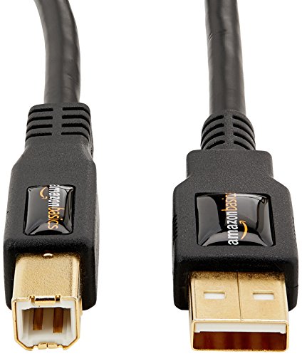 Amazon Basics USB-A to USB-B 2.0 Cable for Printer or External Hard Drive, Gold-Plated Connectors, Black, 10 Foot - size: 10 Feet