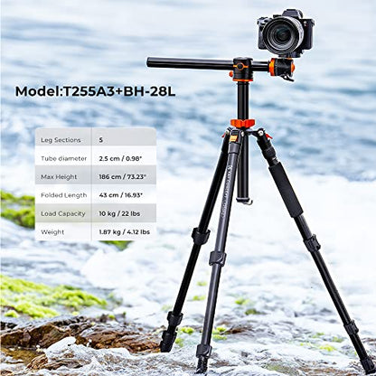 K&F CONCEPT 73 inch /186cm Camera Tripod,Transverse Center Column Aluminium DSLR Tripod with 360 Degree Ball Head 10kg Load Capacity,Quick Release Plate,Detachable Monopod T255A3+BH-28L - size: T255A3+BH-28L