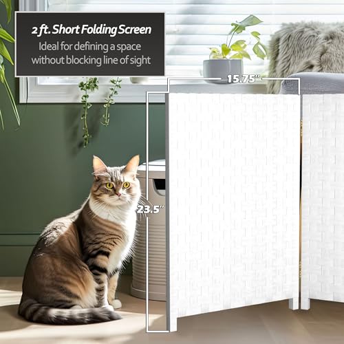 Red Lantern 2 ft. Short Woven Fiber Folding Screen - 6 Panel - White - color: White, size: 6 Panel