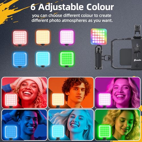 Zeadio Camera Handheld Stabilizer with Aluminum Smartphone Video Cage Rig, Triple Cold-Shoe Handle Grip, Compatible with All Camera Action Camera DSLR Smartphones - style: Standard