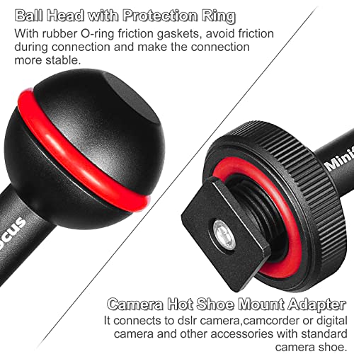 MINIFOCUS 1" Ball Head Cold Shoe Base Adapter, Universal Ball Joint Bracket with Cold Shoe Base Adapter for Diving Light Underwater Camera Waterproof Housings Case Video/Flash/Strobe Hot Shoes - color: Cold Shoe