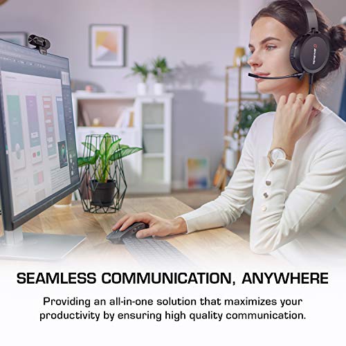 AVerMedia Video Conference Kit 317