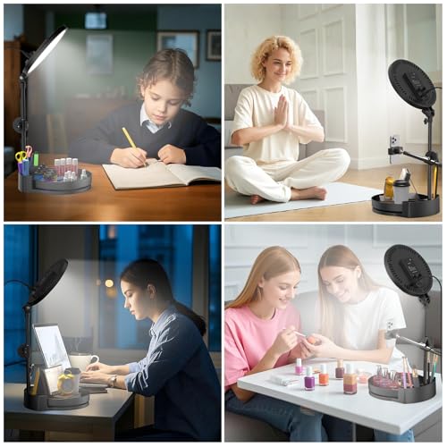 Selfie Light Kit for Desk and Laptop,55W Dimmable Full Screen Ring Light,with Rotating Storage Box,Pen Holder Stand,Phone Holder and Controller (White, 10.5) - color: White