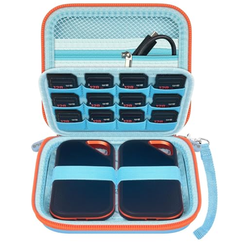 Case for SanDisk Extreme Portable SSD & Extreme PRO, Hard Shell Protective Storage Bag with Carabiner, Fits 1TB 2TB 4TB 8TB External Solid State Drive (Blue, for 2 Hard Drives) - color: Blue, size: For 2 Hard Drives