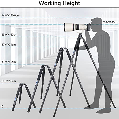 Carbon Fiber Tripod Heavy Duty Bowl Tripod ARTCISE AS90C Ultra Stable Carbon Stand with 75mm Bowl and Adapter 10 Layers Carbon Fiber 40mm Leg Tube Max Load 88 Lbs/40kg
