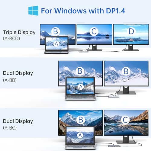 LIONWEI Laptop Docking Station 13 in 1 - Dual HDMI+DisplayPort+10Gbps, 6 USB C/A, 100W PD, Ethernet, SD/TF, Audio, USB C Hub for MacBook/Dell/HP/Surface - color: 13 IN 1(2 HDMI+DisplayPort)