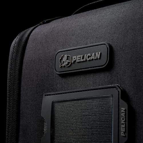 Pelican ModPak AV Pouch - Camera Bag and Lens Case - Double (Black) - color: Black, style: Av Pouch - Double