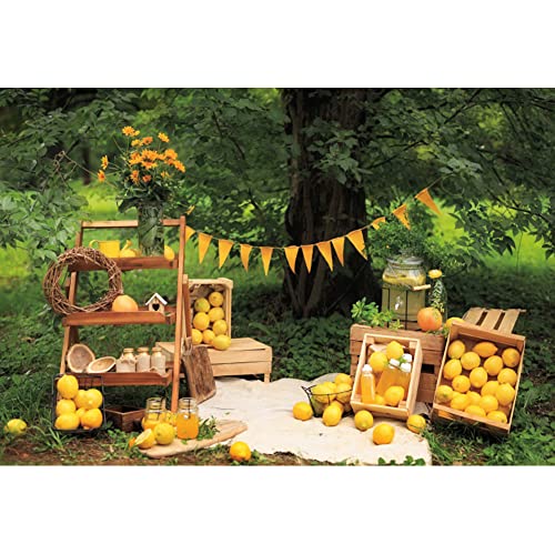Renaiss 10x8ft Lemon Backdrop for Photoshoot Kids Boys Girls Portrait Summer Green Trees Yard Yellow Flag Lemonade Shop Photography Background Baby Shower Birthday Party Decor Banner Photo Booth Props - size: 10x8ft